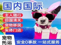 吕梁机场快运国际宠物托运 【国